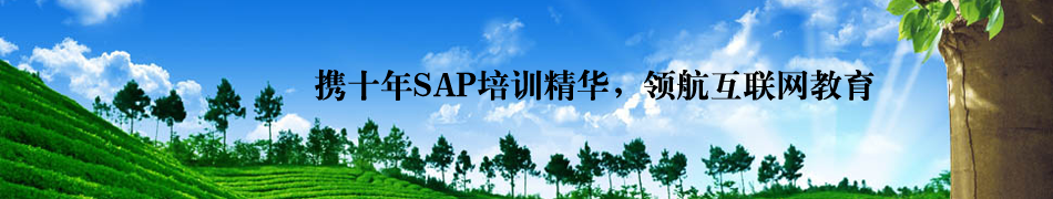 sap vip服务