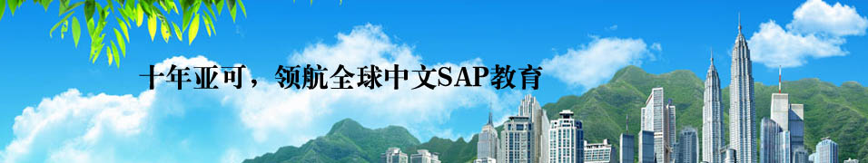 SAP培训